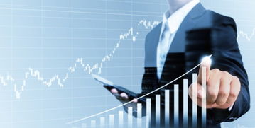 借信息化管理之翼，筑“三算合一”管控之基——論信息化集團管控在投資信息咨詢領域的實現路徑